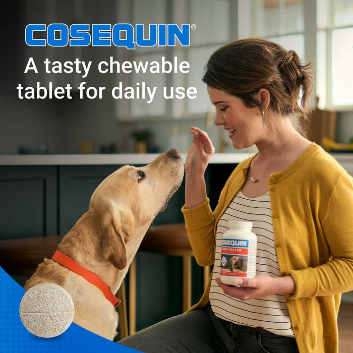 Nutramax Cosequin Maximum Strength Joint Health Plus MSM Supplement for Dogs, Chewable Tablets - 015NM-CHEWDS250-MSM - 250 Chewable Tablets - Each - 21