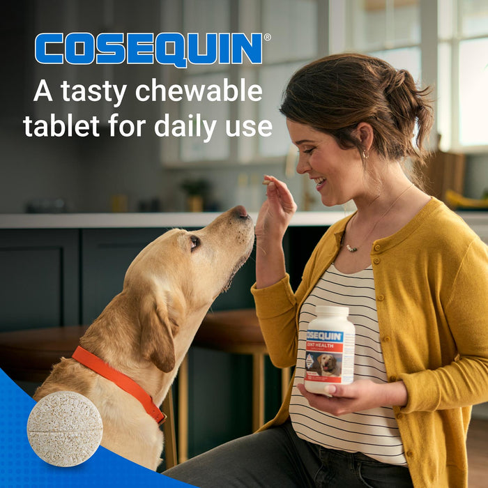 Nutramax Cosequin Maximum Strength Joint Health Plus MSM Supplement for Dogs, Chewable Tablets - 015NM-MSM-132 - 132 Chewable Tablets - Each - 12