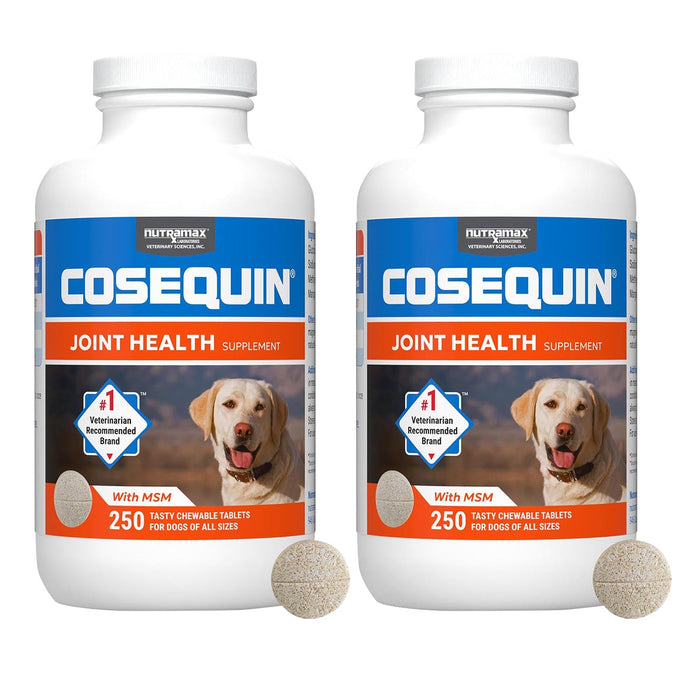 Nutramax Cosequin Maximum Strength Joint Health Plus MSM Supplement for Dogs, Chewable Tablets - 2FW8-2 - 250 Chewable Tablets - 2 pk - 26
