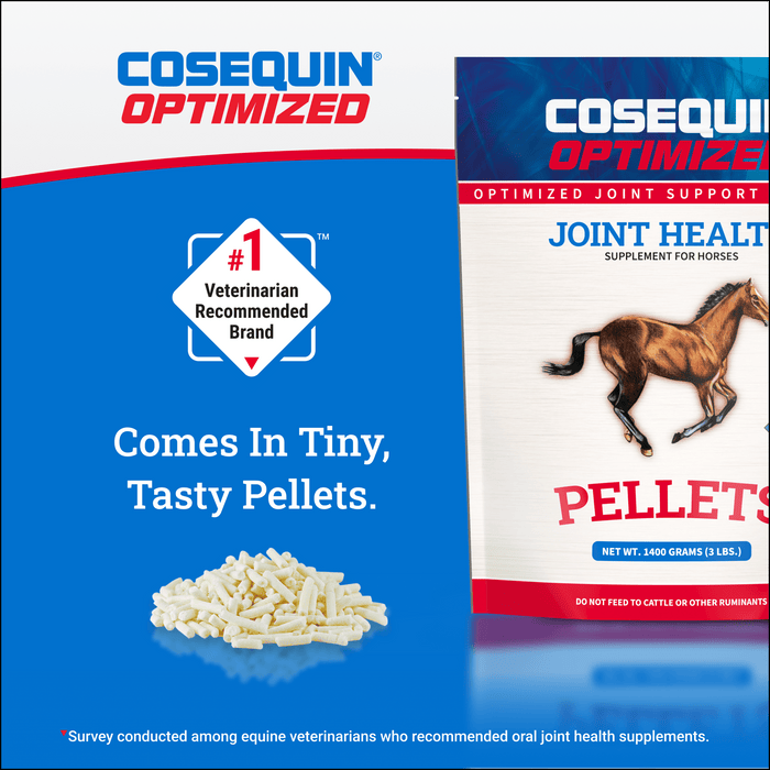 Nutramax Cosequin Optimized Pellets with MSM Joint Health Supplement for Horses, 1400 Grams - 060NM-3000254 - 6