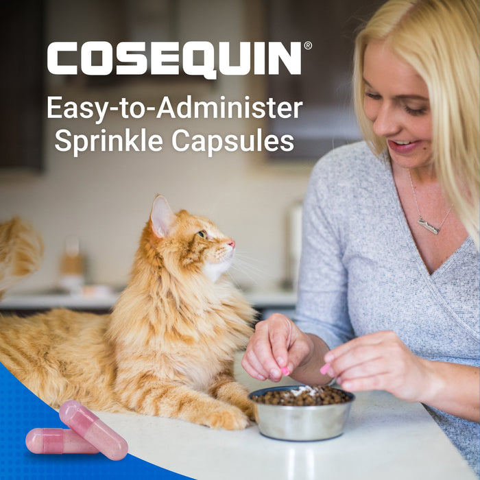 Nutramax Cosequin Professional for Cats, 60 Capsules - 015NM-CQCAT60P - Single Pack - 6