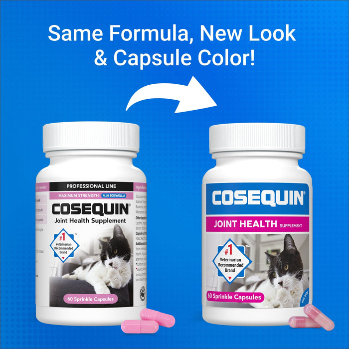 Nutramax Cosequin Professional for Cats, 60 Capsules - 015NM-CQCAT60P - Single Pack - 3