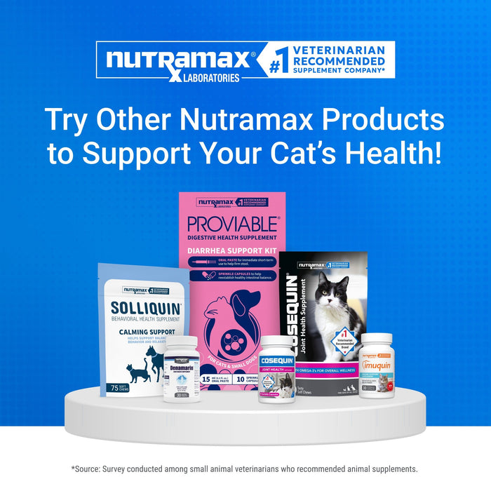 Nutramax Cosequin Professional for Cats, 60 Capsules - 015NM-CQCAT60P - Single Pack - 10