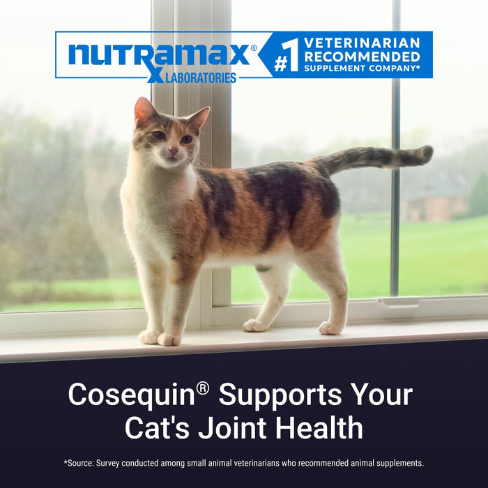 Nutramax Cosequin Professional for Cats, 60 Capsules - 015NM-CQCAT60P - Single Pack - 4