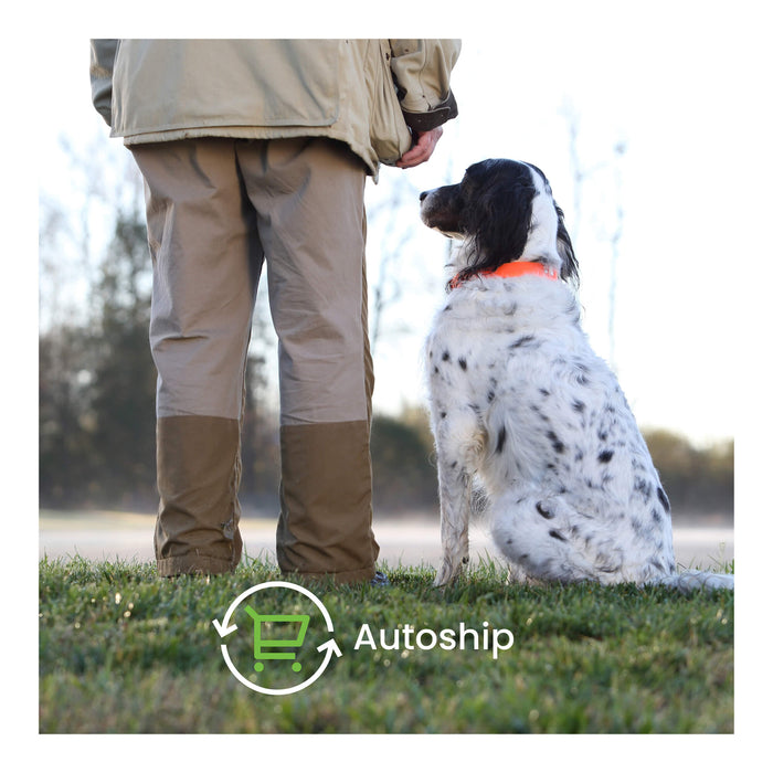 Nutramax Dasuquin for Dogs, Joint Health Supplement, Contains Glucosamine, Plus Chondroitin, ASU, and More, Supports Healthy Joints, Chewable Tablets - 015NM01-150 - Small/Medium - Under 60 lbs - 150 count - 12