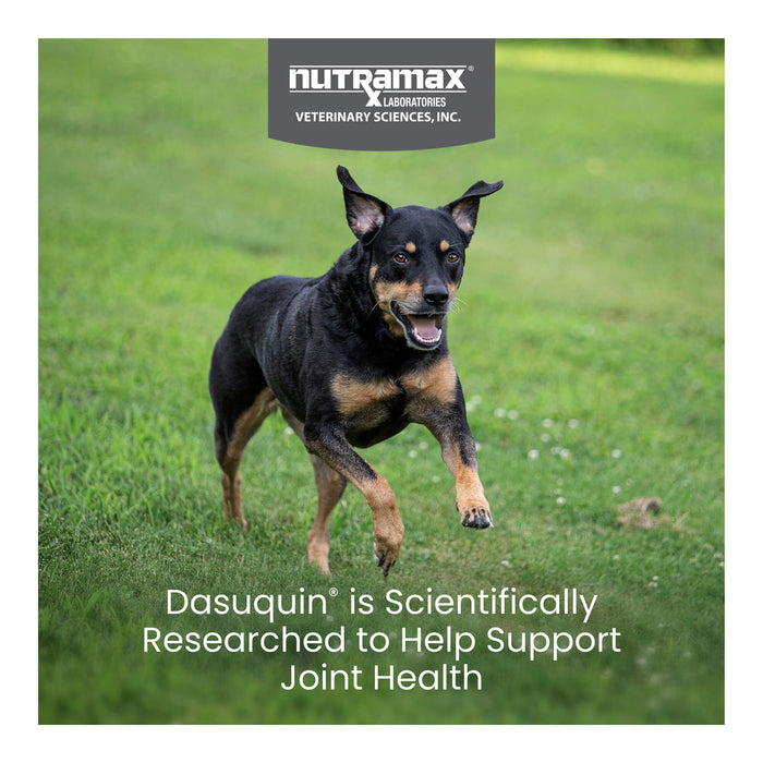 Nutramax Dasuquin for Dogs, Joint Health Supplement, Contains Glucosamine, Plus Chondroitin, ASU, and More, Supports Healthy Joints, Chewable Tablets - 015NM01-150 - Small/Medium - Under 60 lbs - 150 count - 10