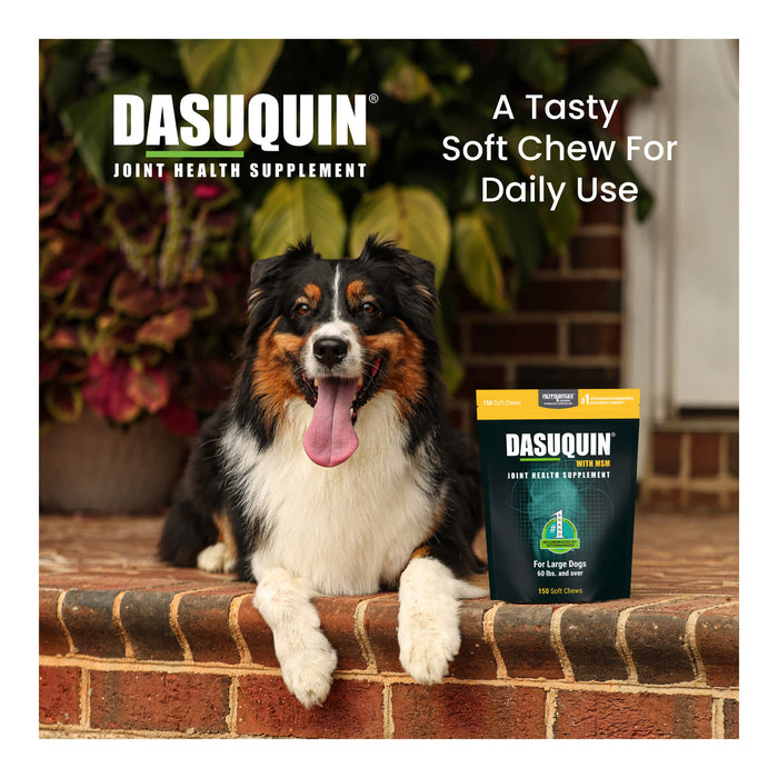 Nutramax Dasuquin for Dogs, Joint Health Supplement, Glucosamine, Chondroitin, ASU, MSM and More, Supports Healthy Joints, Soft Chews - 2FAF-2 - Large - Over 60 lbs - 2 pk (150 ct) - 14
