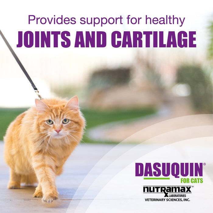Nutramax Dasuquin Joint Health Supplement for Cats, Capsules - 015NM-CAT84 - 84 Sprinkle Capsules - 1 - 8