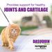 Nutramax Dasuquin Joint Health Supplement for Cats, Capsules - 015NM-CAT84 - 84 Sprinkle Capsules - 1 - 8