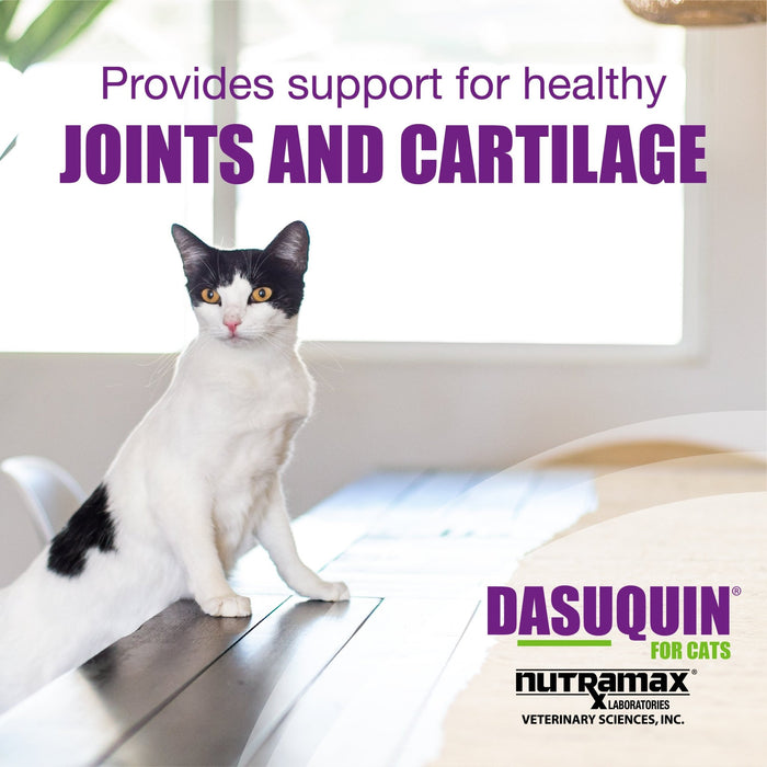 Nutramax Dasuquin Joint Health Supplement for Cats, Soft Chews - 015NM-3000034 - 84 Soft Chews - 5
