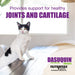 Nutramax Dasuquin Joint Health Supplement for Cats, Soft Chews - 015NM-3000034 - 84 Soft Chews - 5
