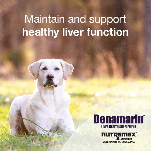 Nutramax Denamarin Liver Health, Chewable Tablets - 015NM-DC225 - 75ct - 16