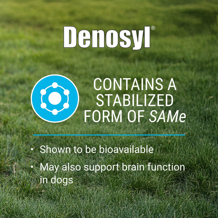 Nutramax Denosyl Liver and Brain Health Supplement - 015NM-425 - Dog - 425 mg - 30 ct - 26