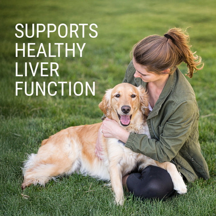 Nutramax Denosyl Liver and Brain Health Supplement - 015NM-425 - Dog - 425 mg - 30 ct - 25