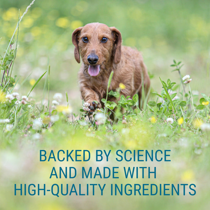 Nutramax Denosyl Liver and Brain Health Supplement - 015NM-SD4 - Dog - 225 mg - 30 ct - 13