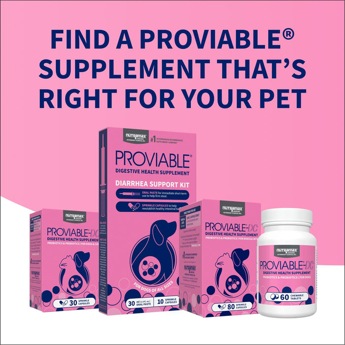 Nutramax Proviable - DC Capsules for Dogs & Cats - 015NM-30 - 30 ct - Single Pack - 9