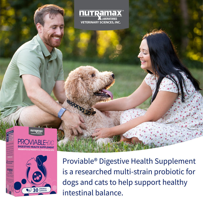 Nutramax Proviable - DC Capsules for Dogs & Cats - 015NM-30 - 30 ct - Single Pack - 3