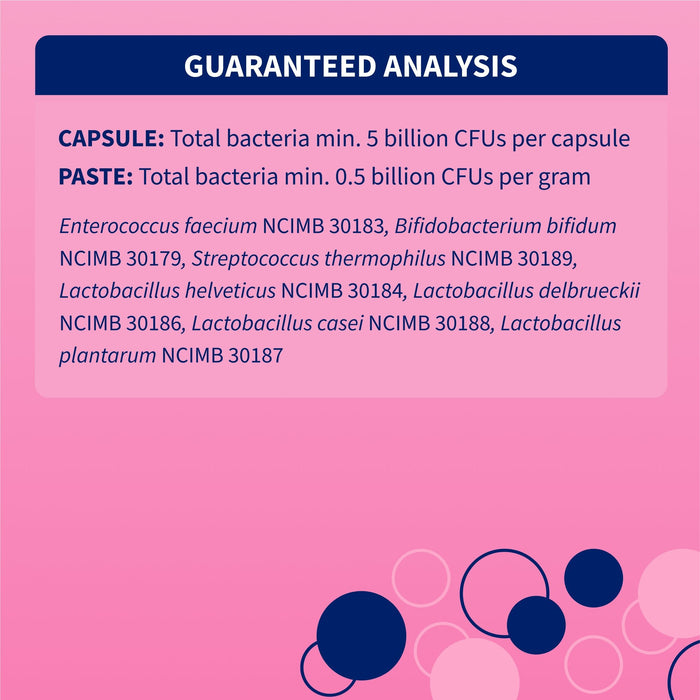 Nutramax Proviable - KP/DC Kit for Dogs and Cats, 10 Capsules - 015NM-15ML - Cats & Small Dogs - 15 mL Paste - 1 ct - 9