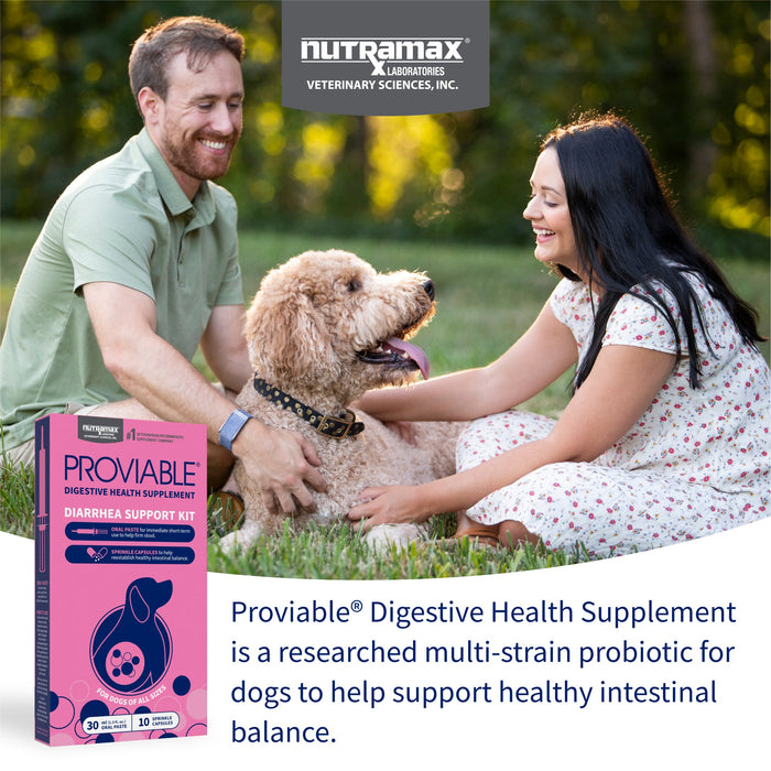 Nutramax Proviable - KP/DC Kit for Dogs and Cats, 10 Capsules - 015NM-30ML - Medium/Large Dogs - 30 mL Paste - 1 ct - 16
