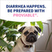 Nutramax Proviable - KP/DC Kit for Dogs and Cats, 10 Capsules - 015NM-30ML - Medium/Large Dogs - 30 mL Paste - 1 ct - 25
