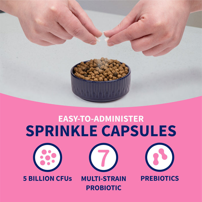 Nutramax Proviable - KP/DC Kit for Dogs and Cats, 10 Capsules - 015NM-30ML - Medium/Large Dogs - 30 mL Paste - 1 ct - 21