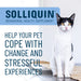Nutramax Solliquin Soft Chews, 75 ct - 015NM-3000230 - Single Pack - Large Dog - 11