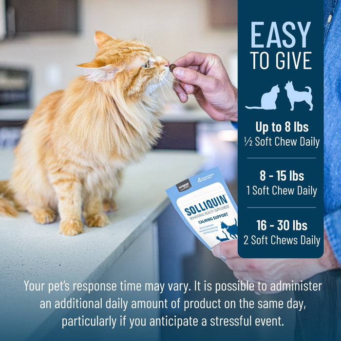 Nutramax Solliquin Soft Chews, 75 ct - 015NM-SOLLSC75 - Single Pack - Small - Med Dog / Cat - 6