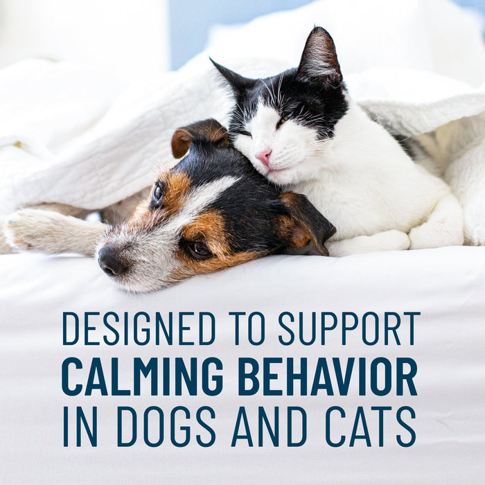 Nutramax Solliquin Soft Chews, 75 ct - 015NM-SOLLSC75 - Single Pack - Small - Med Dog / Cat - 8