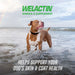 Nutramax Welactin Daily Omega - 3 Supplement For Dogs, 60 Soft Chews - 015NM-300046 - 60 Soft Chews - 2