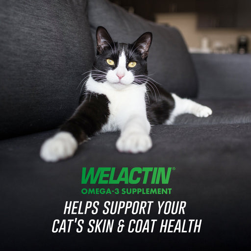 Nutramax Welactin Feline, 4 oz - 015NM-CAT4 - 4 oz Liquid - 2