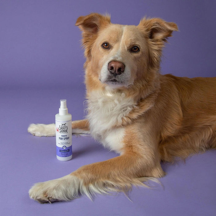 Skout's Honor Probiotic Paw Spray, 8 oz - 8oz  