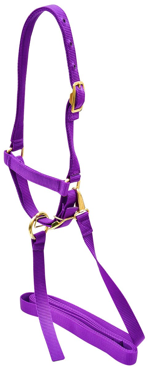 Nylon Sheep Halter, 3/4' - Jeffers - Sheep Supplies > Sheep Supplies