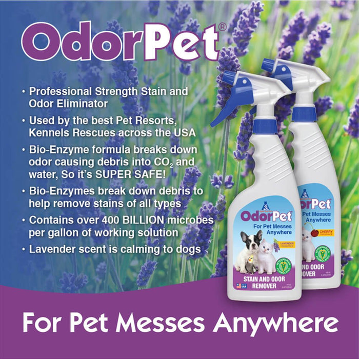 OdorPet Carpet and Floor Stain Remover with Sprayer, 16 oz - Jeffers - Animal & Pet Supplies > Pet Odor & Stain Removers