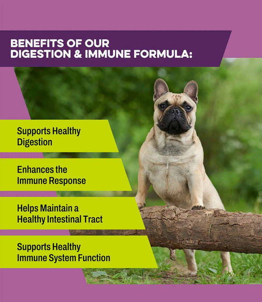 K9 Power Digest Forte Digestion & Immune Formula for Dogs -   