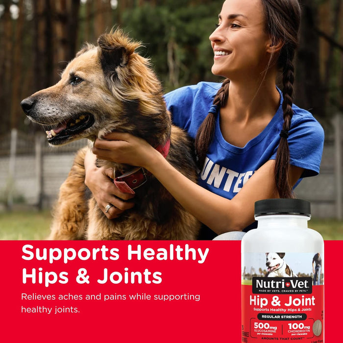 Nutri-Vet Hip & Joint Regular Strength Chewables for Dogs - 75 count Nutri-Vet Hip & Joint Regular Strength Chewables  