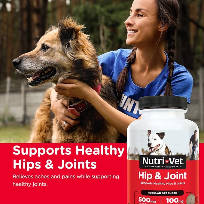 Nutri-Vet Hip & Joint Regular Strength Chewables for Dogs - 120 count Nutri-Vet Hip & Joint Regular Strength Chewables  