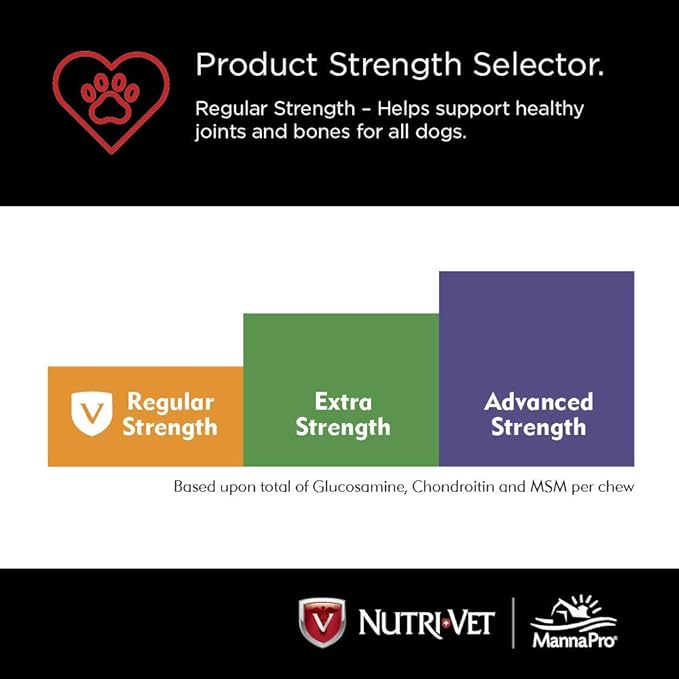 Nutri-Vet Hip & Joint Regular Strength Chewables for Dogs - 180 count Nutri-Vet Hip & Joint Regular Strength Chewables  