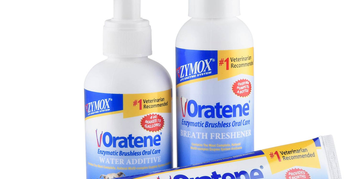 Oratene デンタルメンテナンス 70g 6本セット oratene-complete-oral-care-kit