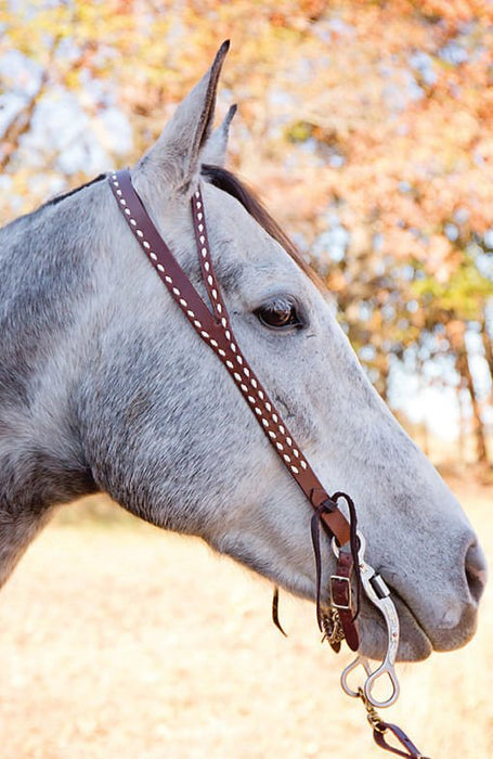 Oxbow Tack Split Ear Harness Leather Headstall with Buckstitch - Jeffers - Horse Supplies > Horse Tack > Bridles & Headstalls