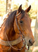 Rawhide Braided Slip Ear Headstall -   