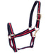 Padded Horse Halter with Snap by Jeffers - Jeffers - Horse Supplies > Horse Tack > Horse Halters