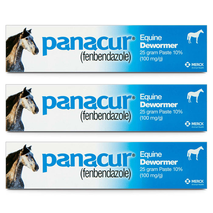 Panacur Equine Fenbendazole Dewormer Paste, 25 g - I6PL-3 - 3 Pack - 7