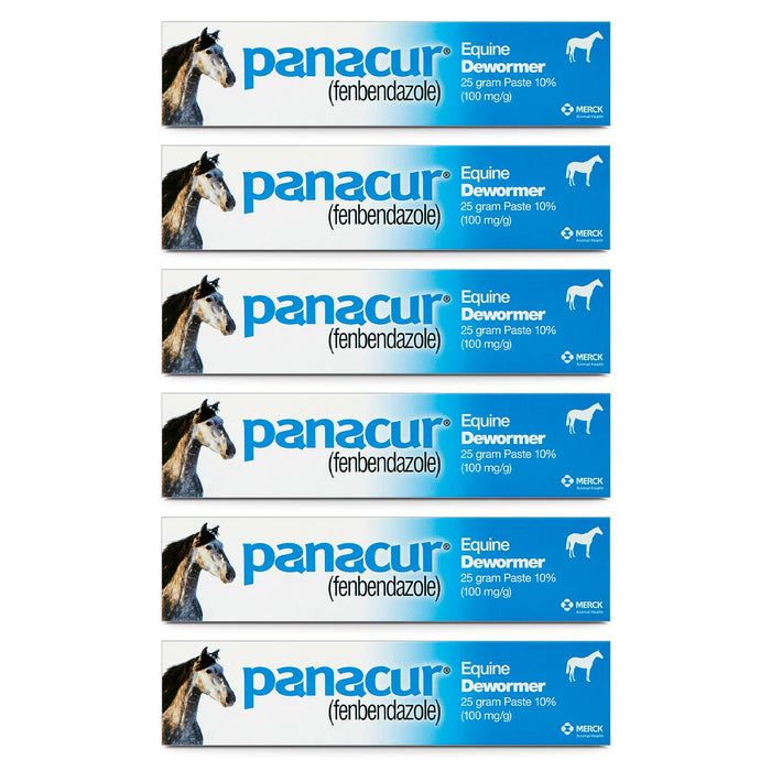 Panacur Equine Fenbendazole Dewormer Paste, 25 g - I6PL-6 - 6 Pack - 8