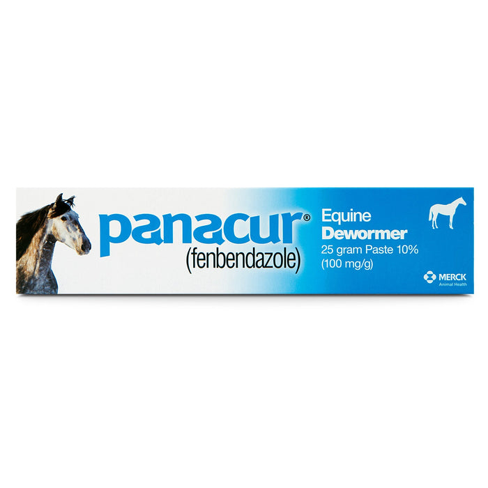 Panacur Equine Fenbendazole Dewormer Paste, 25 g - I6PL - Single Pack - 6