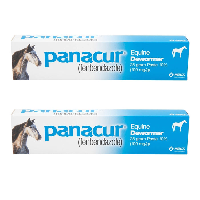 Panacur Equine Fenbendazole Dewormer Paste - I6PL-2 - 25 g - 2 Pack - 6