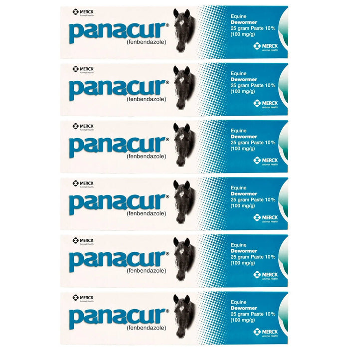 Panacur Horse Wormer Paste, 25 g - Jeffers - Animal Health & Wellness > Medicine