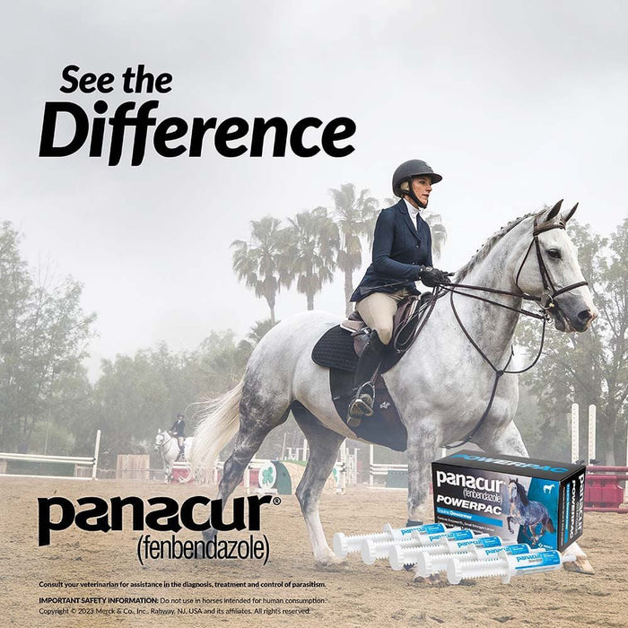 Panacur Powerpac Horse Dewormer - Jeffers - Animal Health & Wellness > Medicine