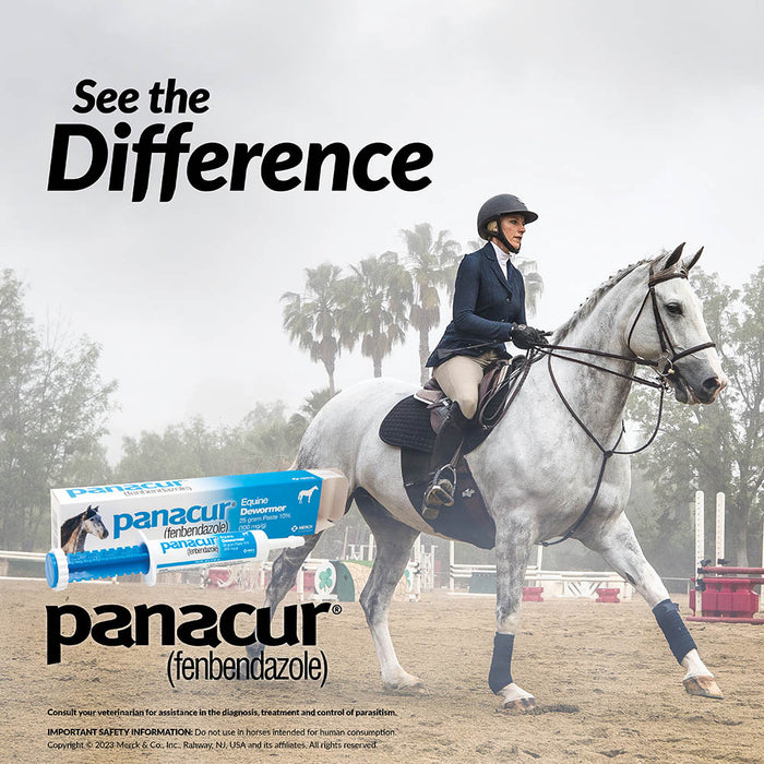 Panacur Equine Fenbendazole Dewormer Paste, 25 g
