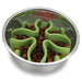 Paw Puzzle Slow Feeder Dog Bowl Insert - NP232 - Green - Large, 5.5" - 1 - 6
