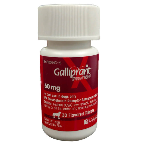 Rx Galliprant for Dogs - Rx Galliprant, 60mg x 30 Tablets  